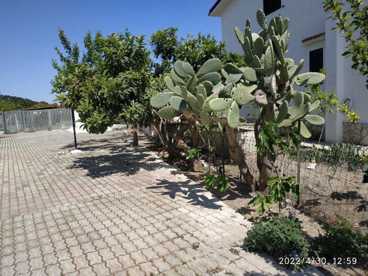 ויאסטה Villa Scialara מראה חיצוני תמונה